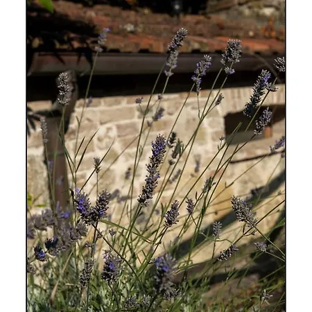 Casale Virgili Bed and breakfast Siena